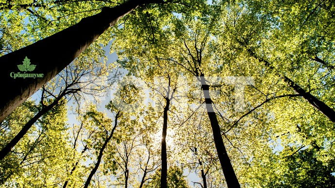 Apel na neodgovorno ponašanje